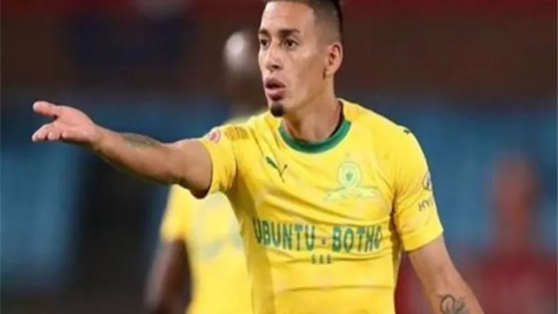 رد نارى من الاهلى على بيان صن داونز بشأن سيرينو