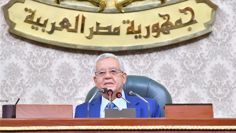 خلافات فى البرلمان بشأن مشروع قانون تأمين وحماية المنشآت العامة والحيوية