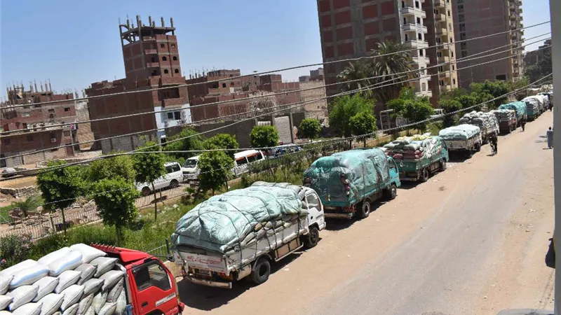 محافظ المنيا : توريد 243 الف طن من محصول القمح بالشون والصوامع