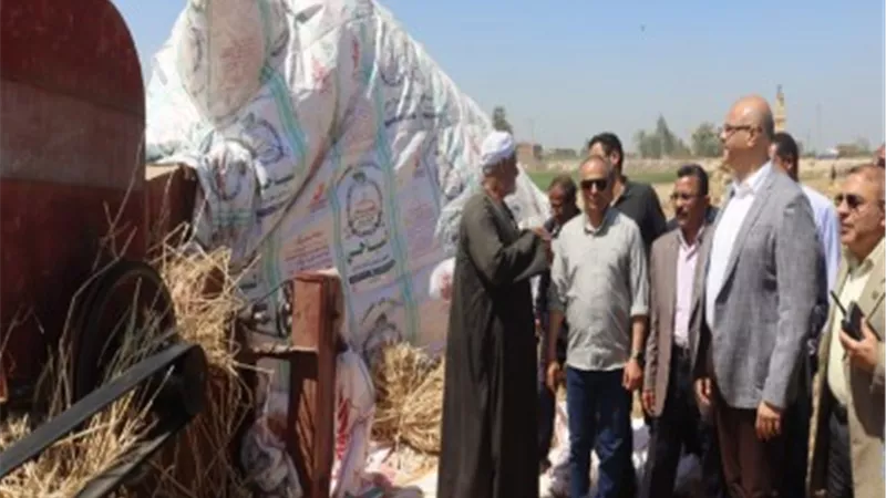 بنسبة بلغت 86.1%.. محافظ القليوبية يعلن توريد 41365.906 طن من القمح