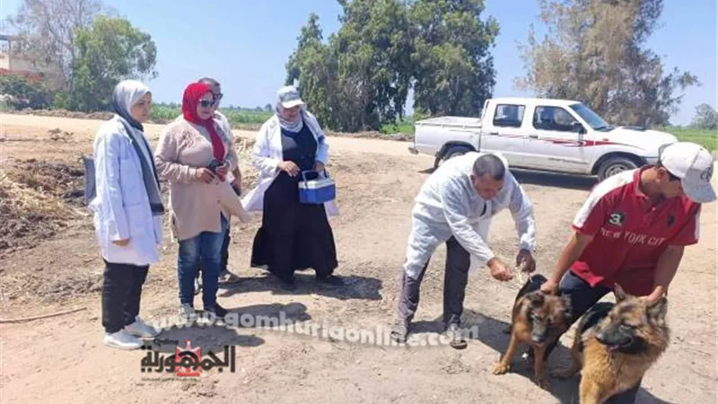 الإرتقاء بالنظافة وتطعيم الكلاب الضالة بمدينة السرو بدمياط