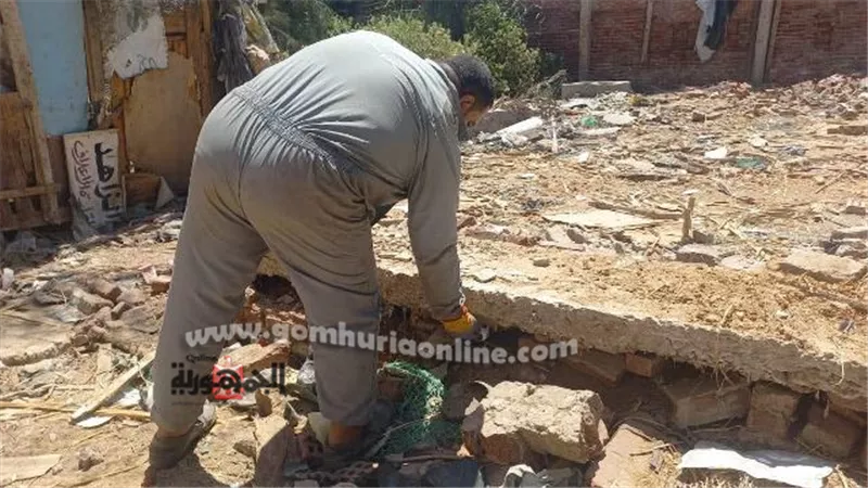 صحة دمياط تختتم حملة مكافحة القوارض