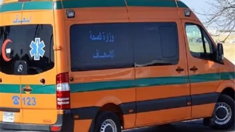 مسن يدفع حياته ثمنا لخلافات الجيرة بالشرقية