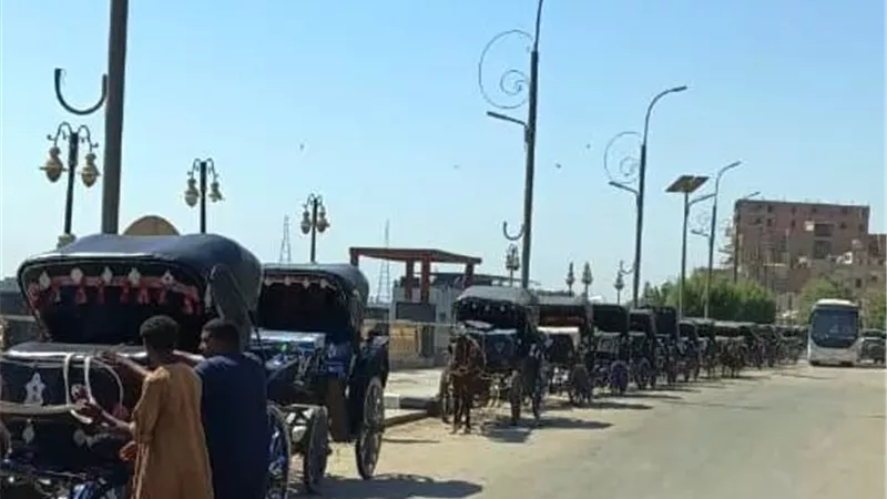 محافظ أسوان يتابع تنظيم منظومة عربات الحنطور بإدفو