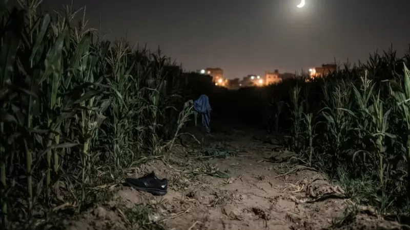 اعترض طريقها ليلاً.. تفاصيل صادمة في مقتل فتاة بشبين القناطر