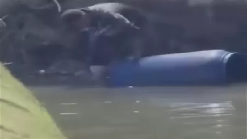 الأمن يضبط عاملَين ينظفان براميل مخلفات الصرف الصحي في مصرف مائي