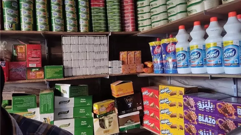 ضبط سلع ومواد غذائية منتهية الصلاحية في حملات بالإسكندرية
