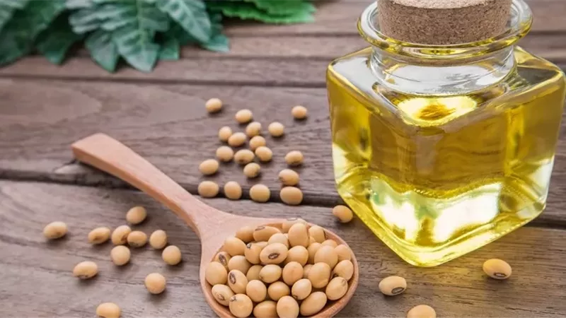 دراسة.. ارتباط استهلاك زيت الصويا بارتفاع خطر الإصابة بسرطان المثانة