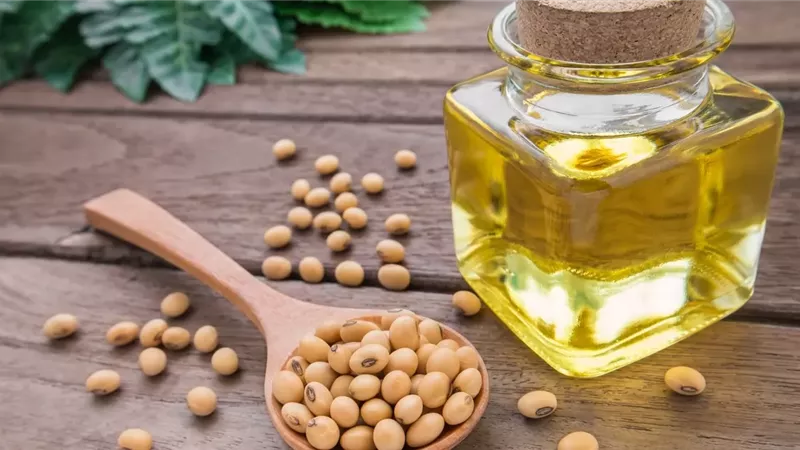 هل زيت الصويا مرتبط بسرطان المثانة؟ دراسة تجيب