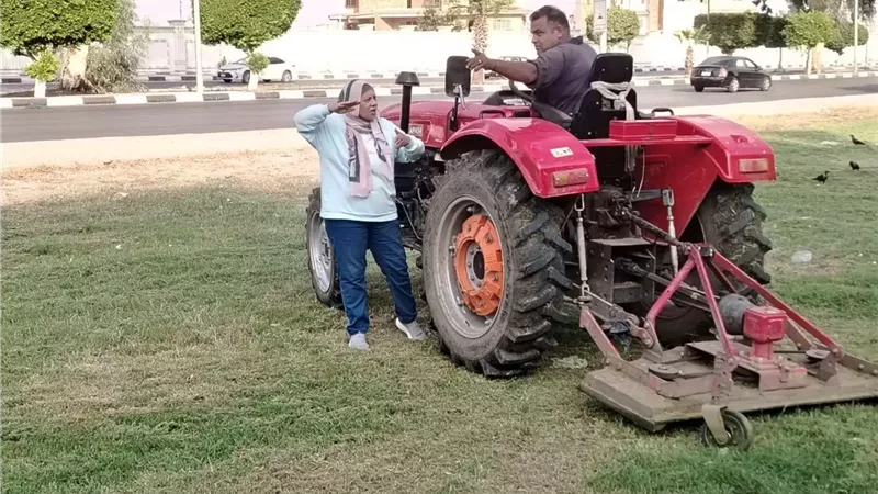 الإسماعيلية تواصل رفع كفاءة المسطحات الخضراء