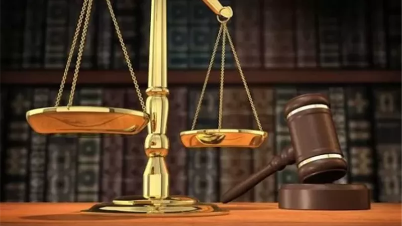مميزات حكم الاستئناف وآثاره القانونية.. تعرف عليها