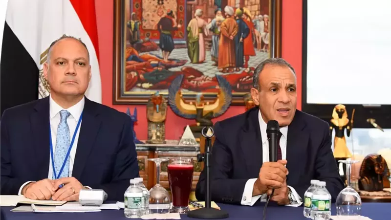 وزير الخارجية يؤكد حرص الدولة على دعم الكفاءات المصرية بالخارج