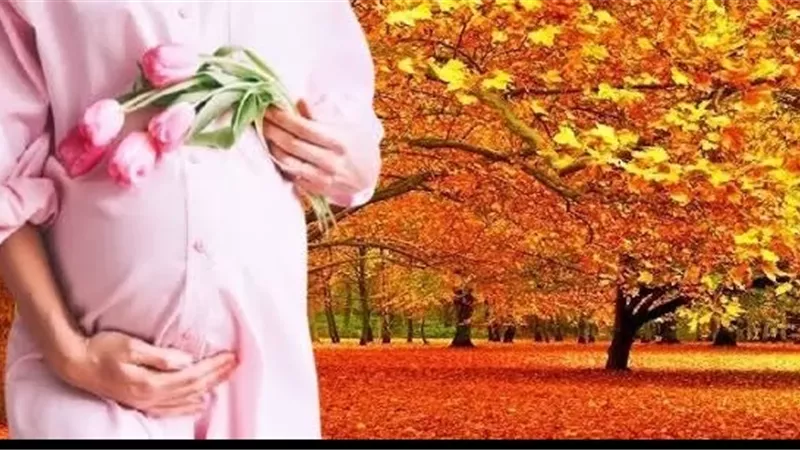 أثر القرآن في التغيرات النفسية وضوابط شرعية لـ