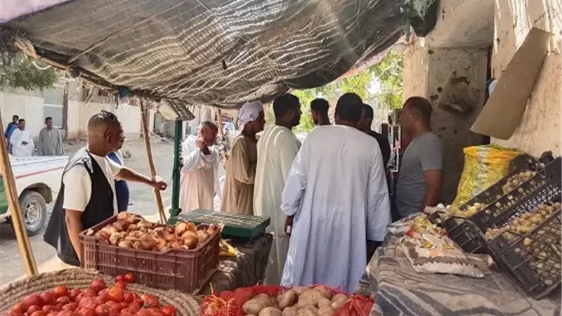حملة مكبرة لرفع الإشغالات بإسنا جنوب الأقصر