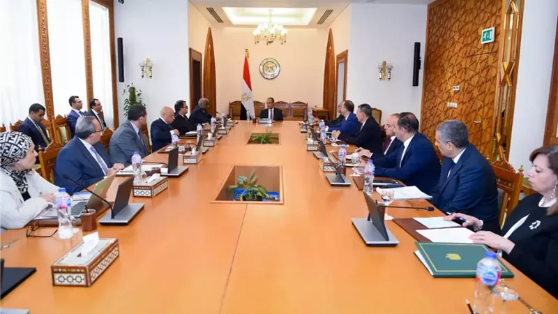 وزير الخارجية يبحث ترتيبات منتدى العلمين أفريقيا وقمة النيباد