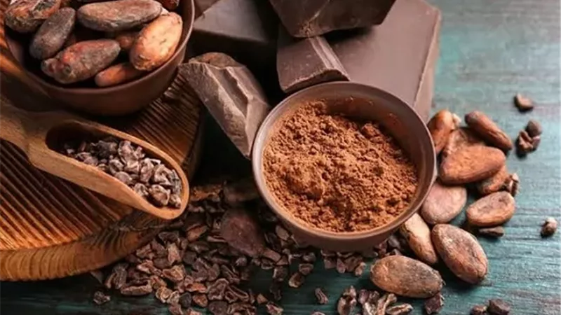 الكاكاو .. فوائد صحية عديدة ومذاق غني