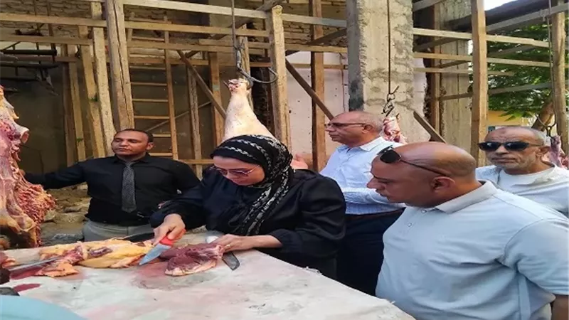 ضبط 1.5 طن لحوم ودواجن ومنتجاتها وتحرير 10 محاضر في أسبوع بالمنيا