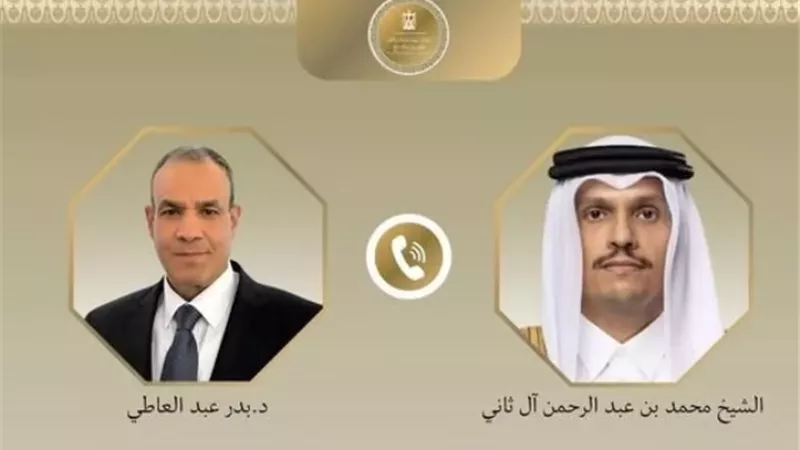 وزير الخارجية يحذر من استخدام الممرات البحرية كورقة ضغط أو مساومة