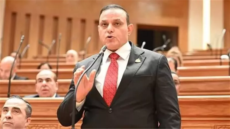 برلماني: توجيهات الرئيس السيسي تعزز جهود تعظيم الاستفادة من مقدرات الدولة
