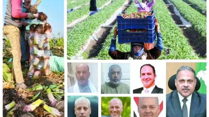 المنير.. قلعة القلقاس والفراولة في الشرقية