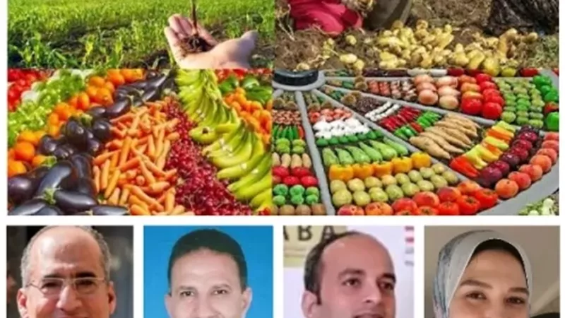 مصر على خريطة الغذاء العالمية