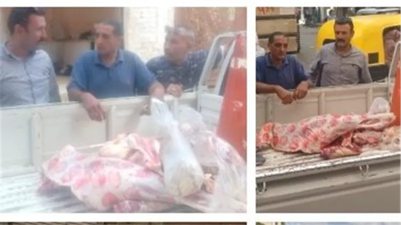 ضبط لحوم ودواجن غير صالحة للاستهلاك الآدمي بمراكز المنوفية