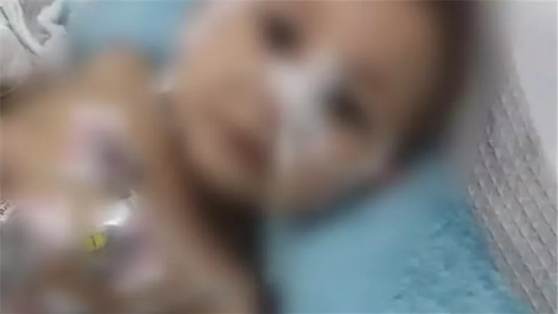 غدا.. أولى جلسات محاكمة 