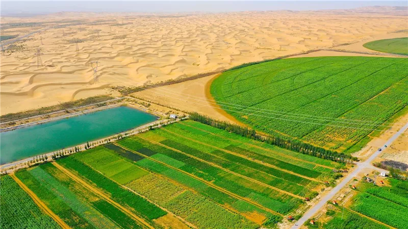تنمية الصحراء.. فرص واعدة للاستثمار وتعظيم الموارد