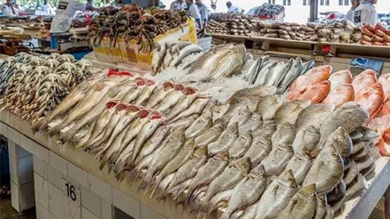 أسعار السمك اليوم.. زيادة البلطي والكابوريا والبوري