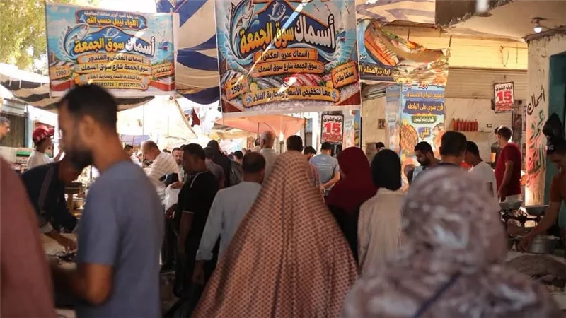 إقبال المواطنين على أسماك مبادرة محافظ الإسماعيلية..الأسعار المخفضة تخفف الأعباء عن الأسر