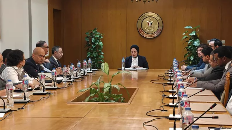 نائب وزير الخارجية للتعاون الدولي