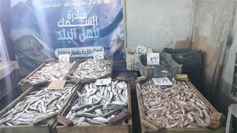 طرح 750 كيلو اسماك بمنافذ وزارة التموين بالعبور والصباح والمثلث اليوم بالسويس