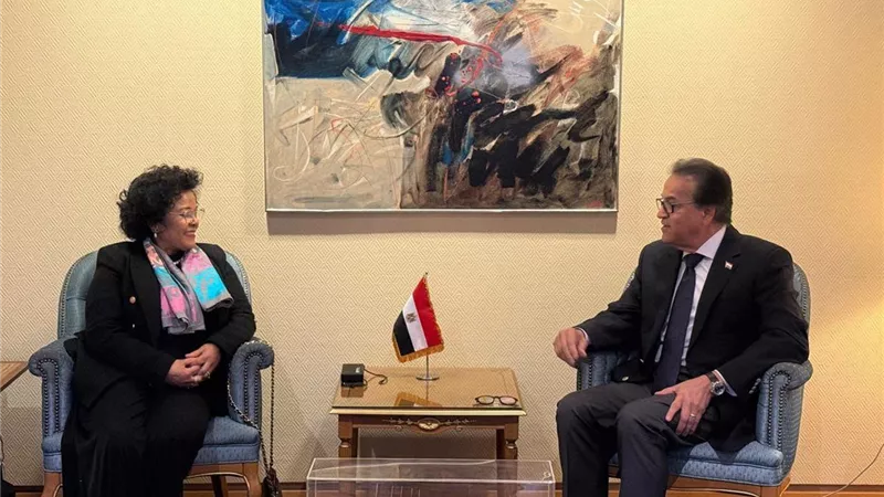 وزير الصحة يبحث مع رئيسة وكالة «أودا-نيباد» تعزيز التعاون الصحي الأفريقي