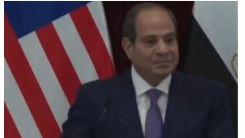 الرئيس السيسي