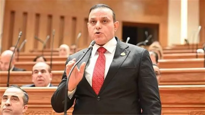  النائب مختار همام وكيل لجنة الإسكان بمجلس النواب