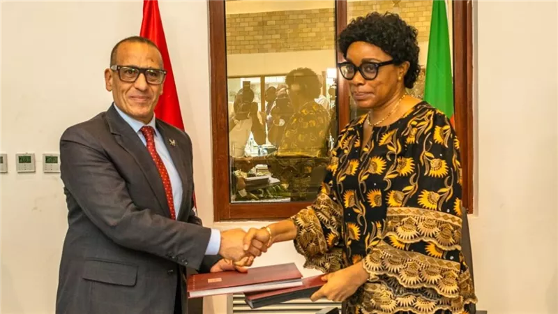 شراكة مصرية كاميرونية في النقل الجوي