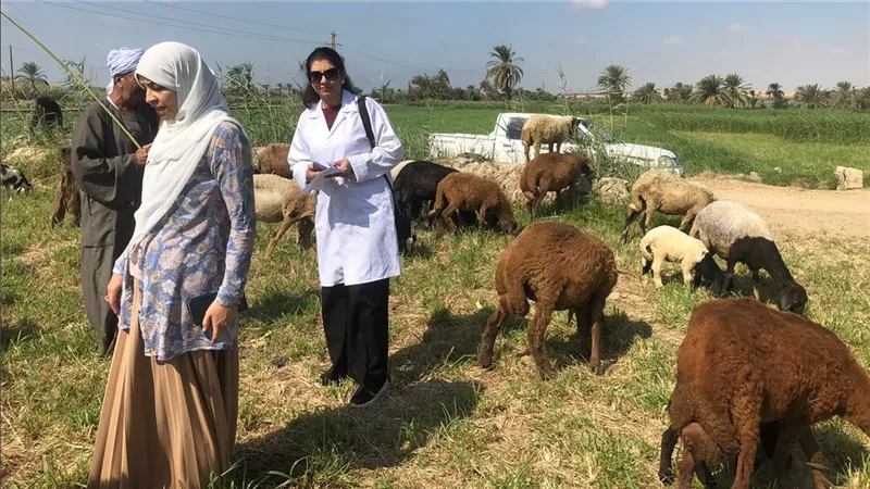 تفقد الطب البيطرى