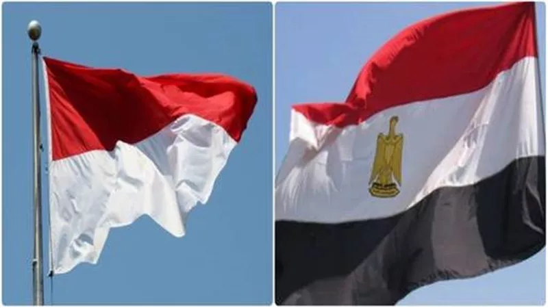 مصر واندونيسيا 