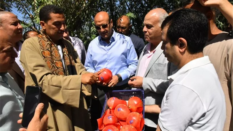 محافظ أسيوط :  مصنع مركزات الرمان والساحات يعززان القيمة المضافة وفرص التصدير