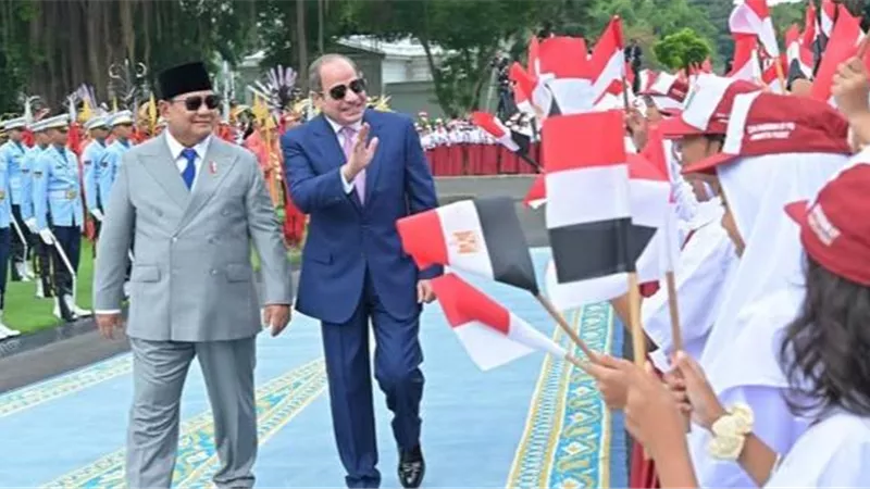 الرئيس السيسى ونظيره