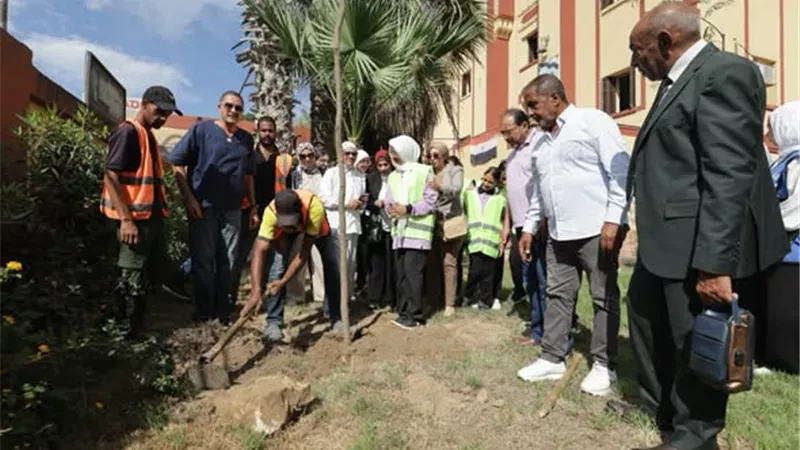 وزيرة التنمية المحلية والبيئة تعلن بدء توريد وزراعة 1000 شجرة بمحافظة بورسعيد
