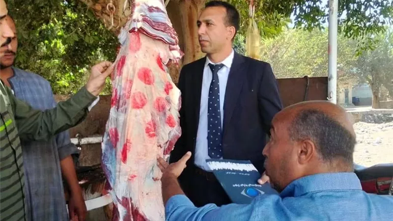 ضبط 144 كجم لحوم