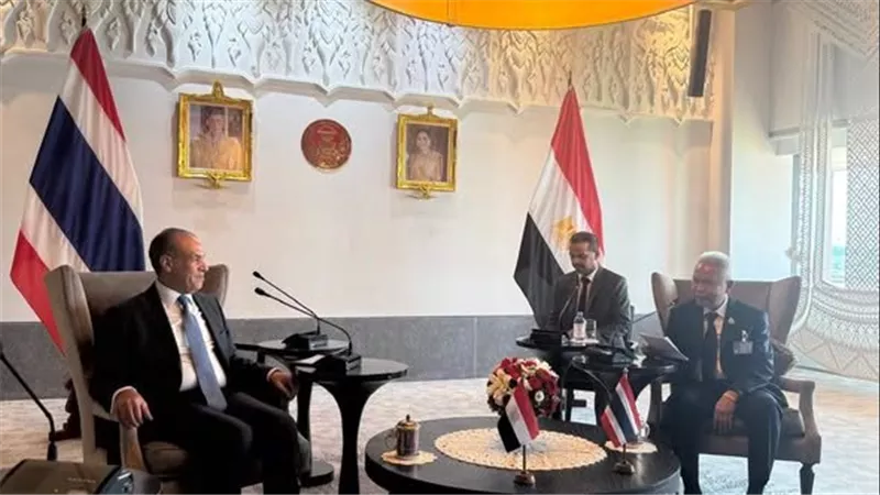 وزير الخارجية: مصر تمثل منصة واعدة للاستثمارات التايلاندية