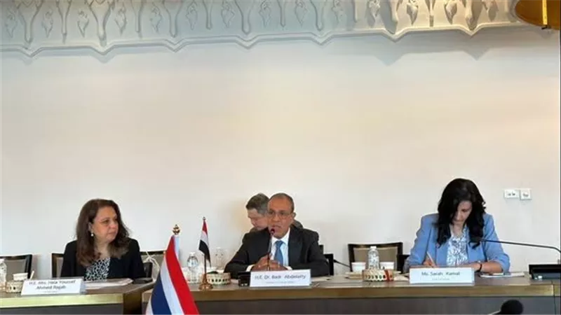 وزير الخارجية: تشجيع الشركات التايلاندية على استكشاف فرص التصنيع والاستثمار في مصر