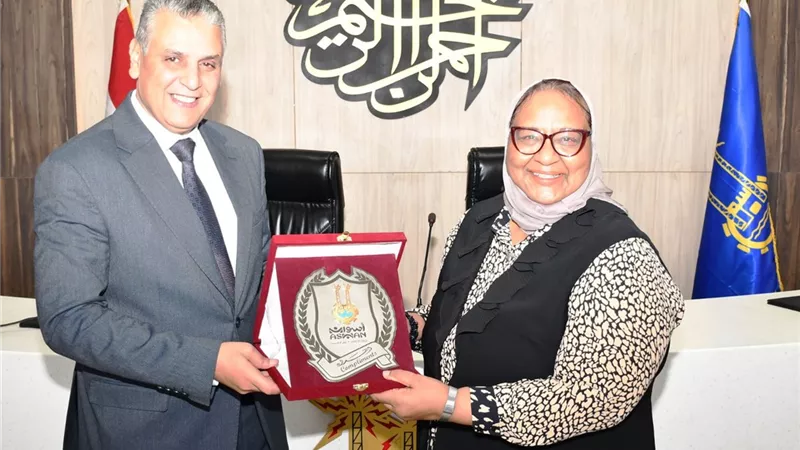 نائب محافظ أسوان يفتتح ورشة عمل حوكمة إدارة البرنامج السكانى بالمحليات