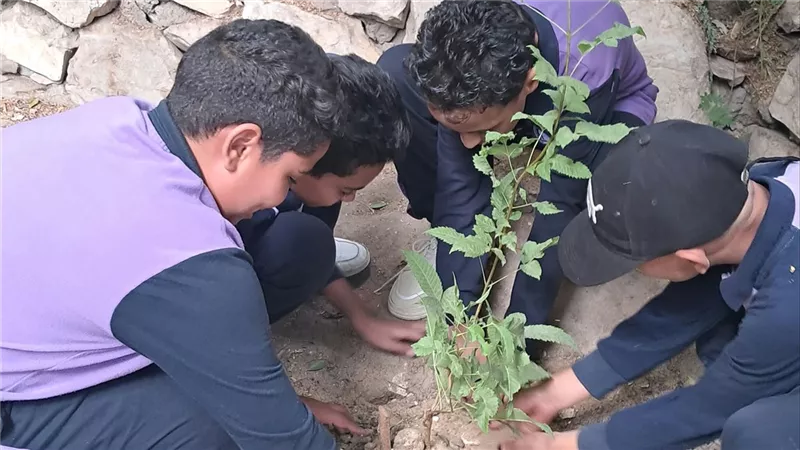 إطلاق مبادرة «ازرع فكرةازرع شجرة» بمدرسة الشهداء الابتدائية بالأقصر