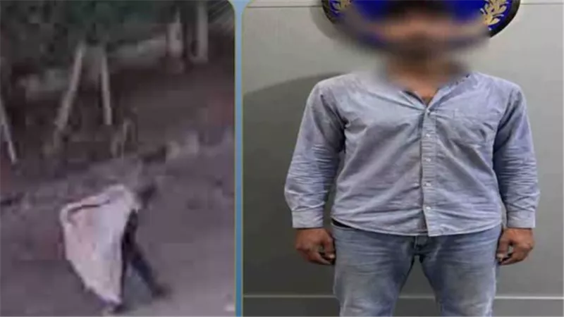 ضبط جامع قمامة بالإسكندرية بعد الإساءة لسيدة بحركة خادشة للحياء