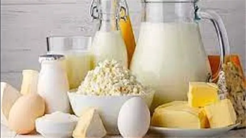 منتجات الألبان