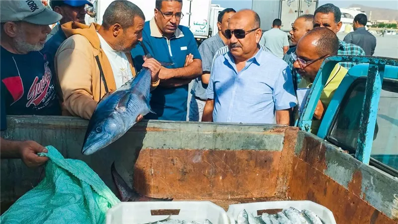سكرتير عام محافظة جنوب سيناء يتابع انتظام العمل بحلقة السمك بمدينة الطور 