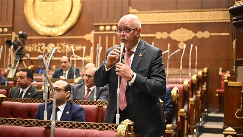النائب المهندس حازم الجندي- عضو مجلس الشيوخ